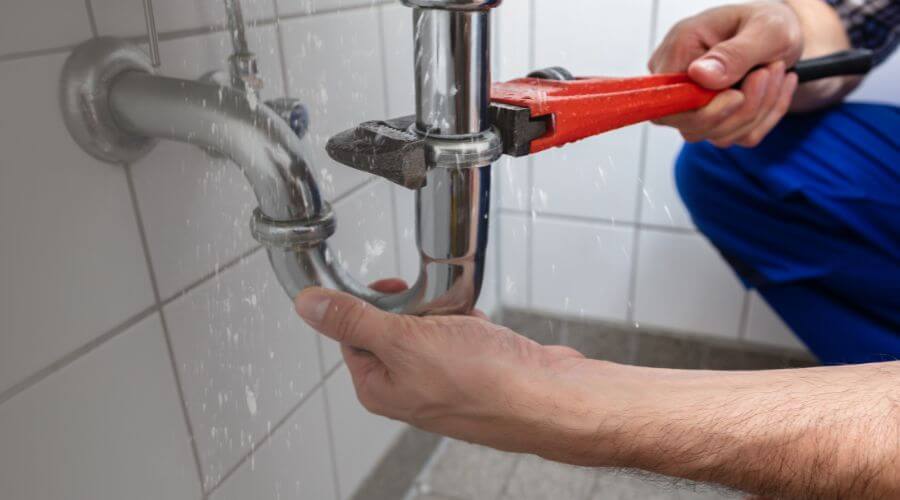 Leak Detection Services in Olga, WA